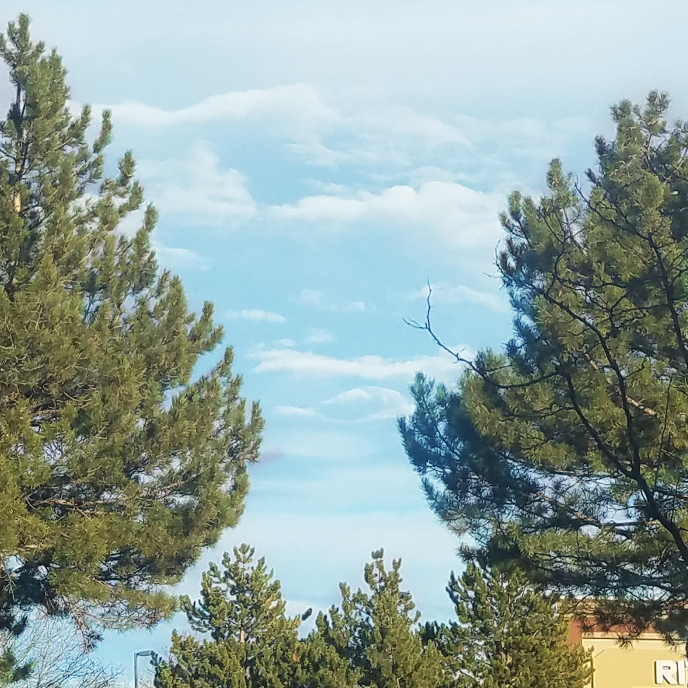 29-skyblue-20171208_152131_38035264745