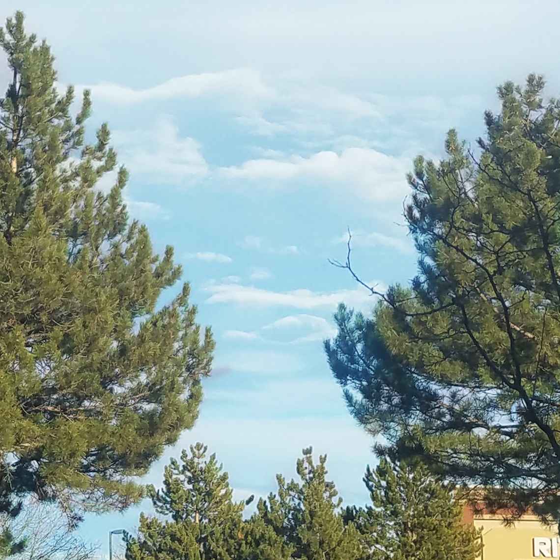 29-skyblue-20171208_152131_38035264745