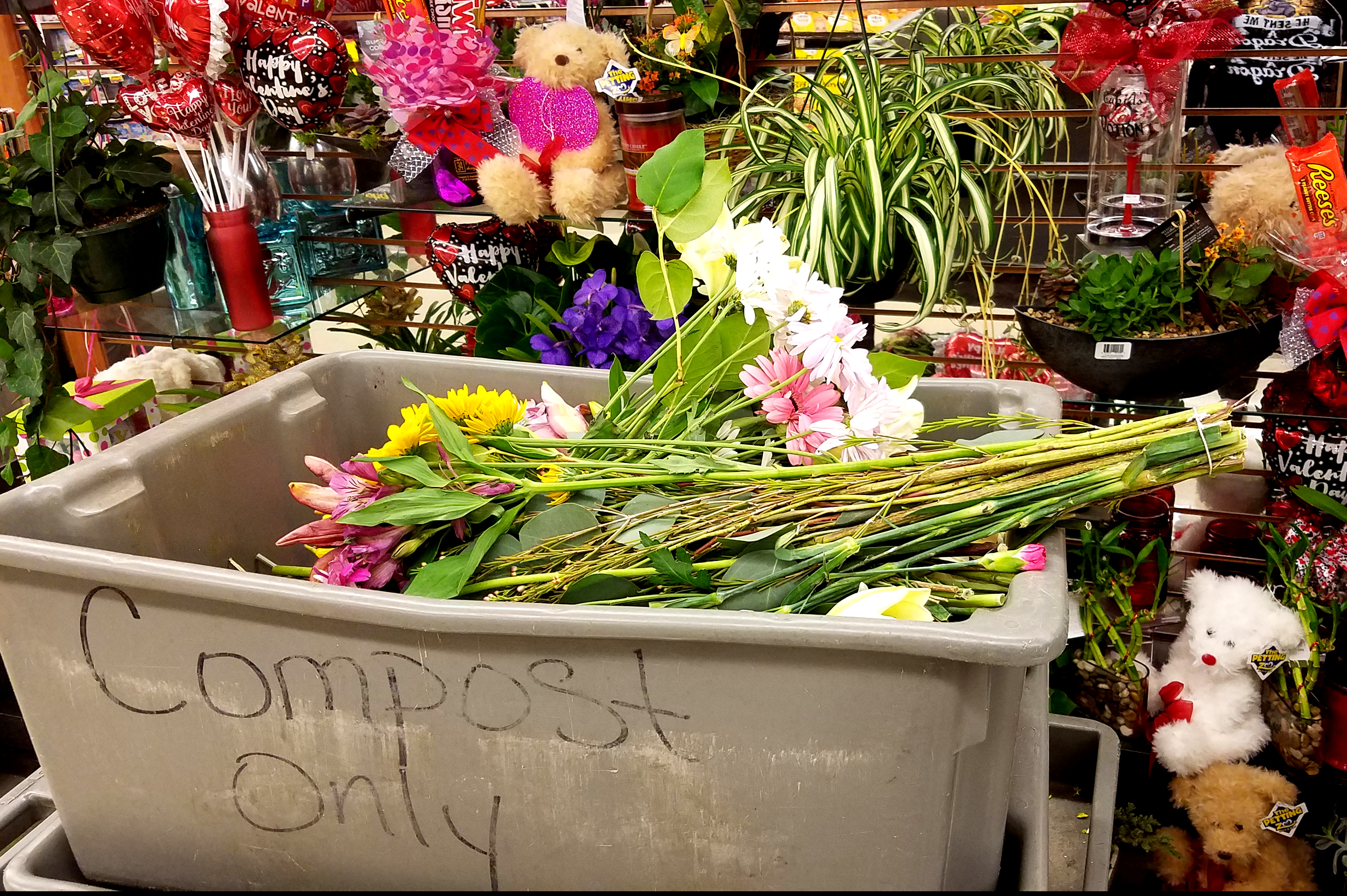 compost-20180123_170001_39864818241_o