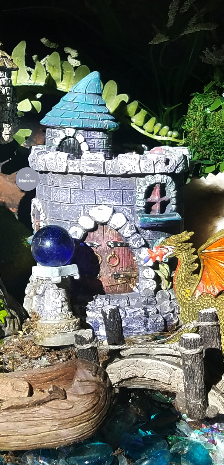 FairyGarden2018-20180114-manatee