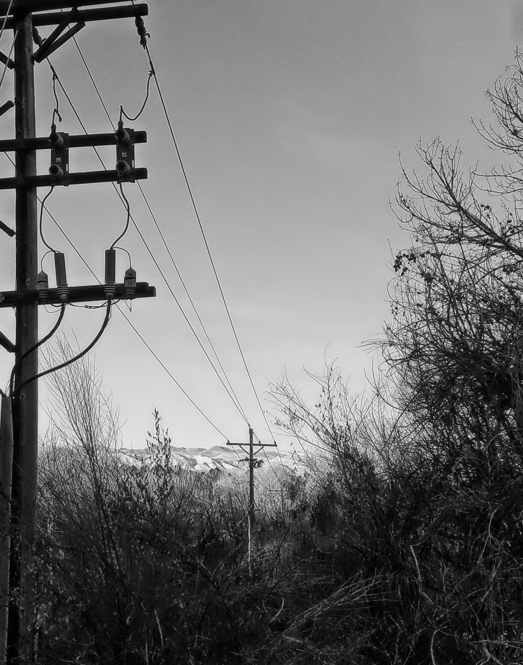 52 Weeks – Leading&nbsp;Lines