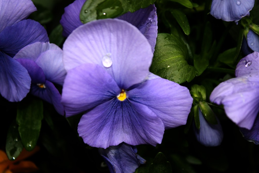 Today’s Affirmation