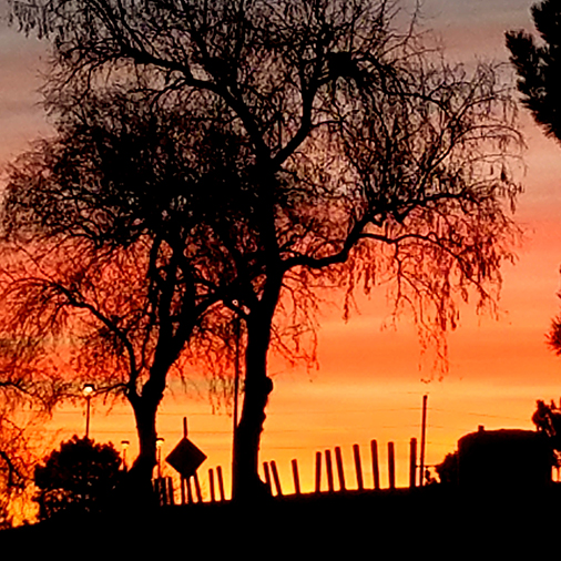 Color Your World – Red&nbsp;Orange