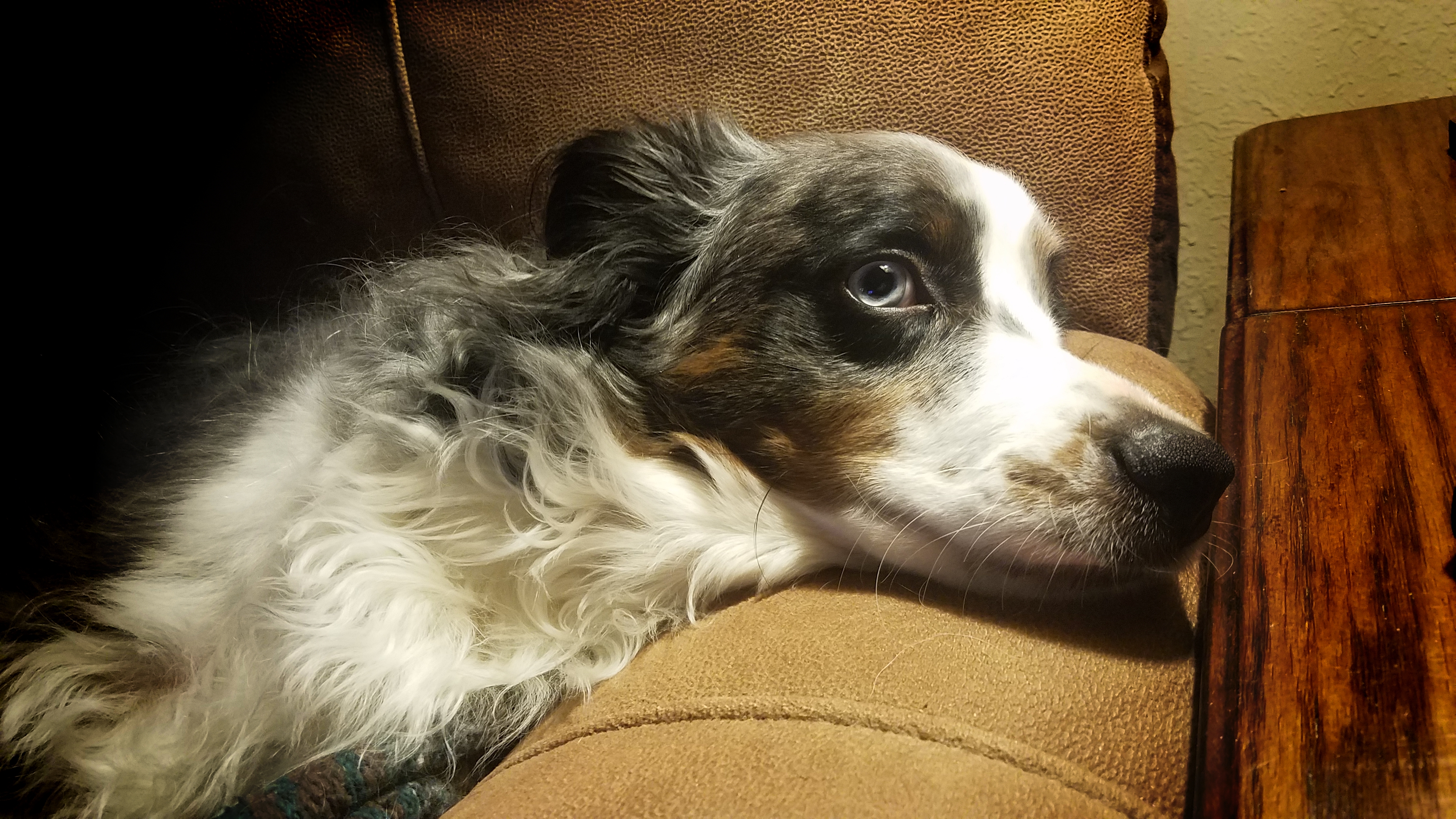 sideeye-Oberon-20180113_143004A