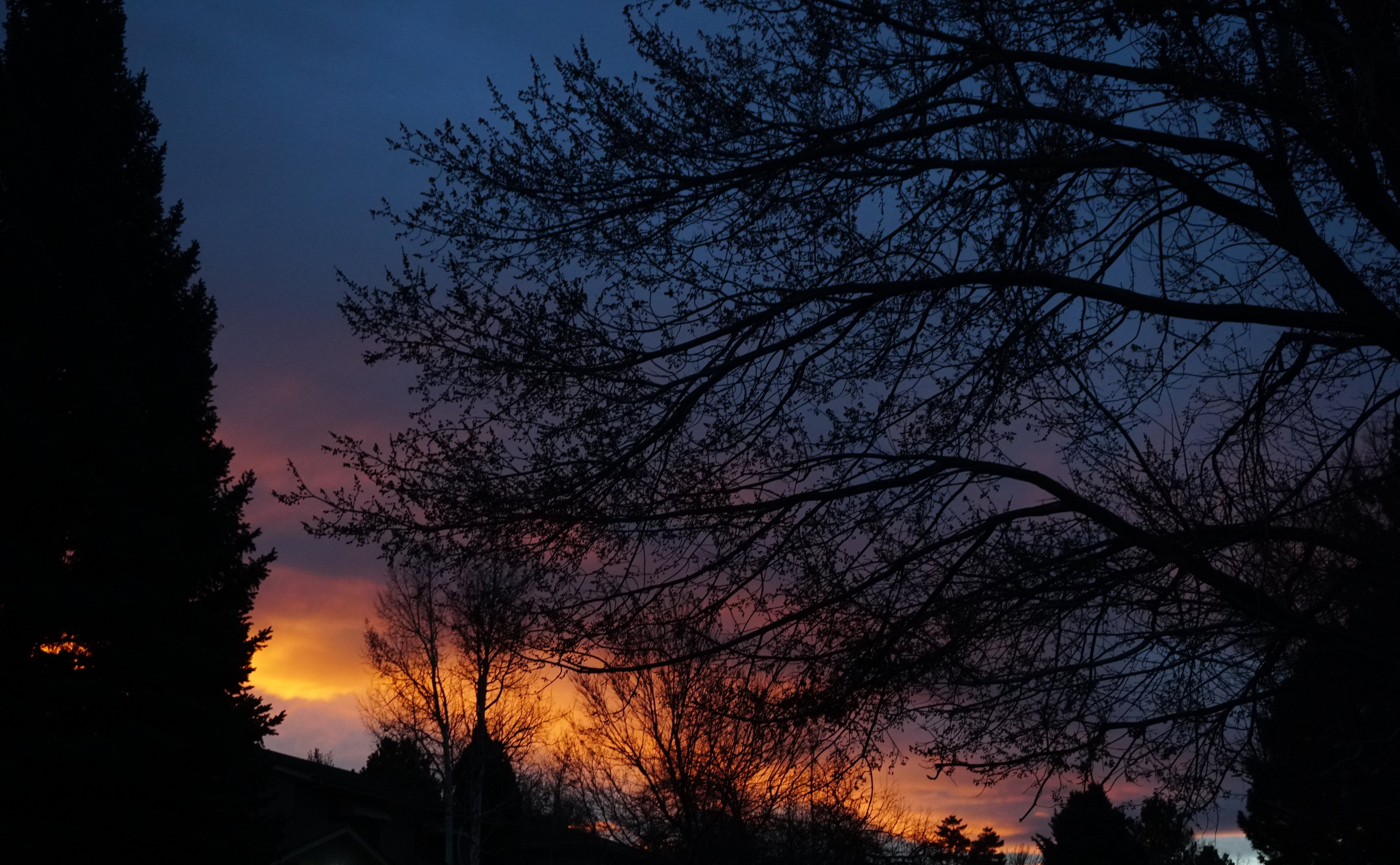 Sunrise-01102018-DSC03969A