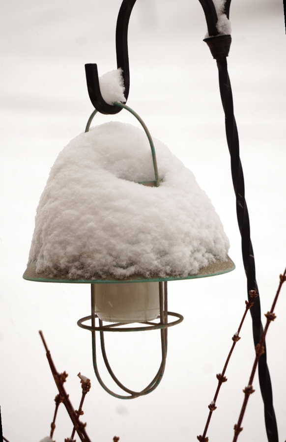 TodaysSnow-DSC04135-900