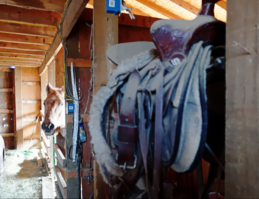 00-DSC04475_saddle900