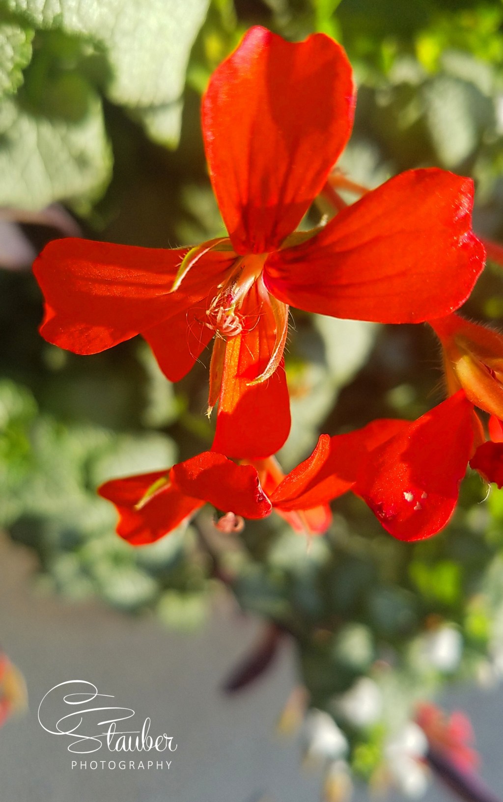 Color Your World – Outrageous&nbsp;Orange