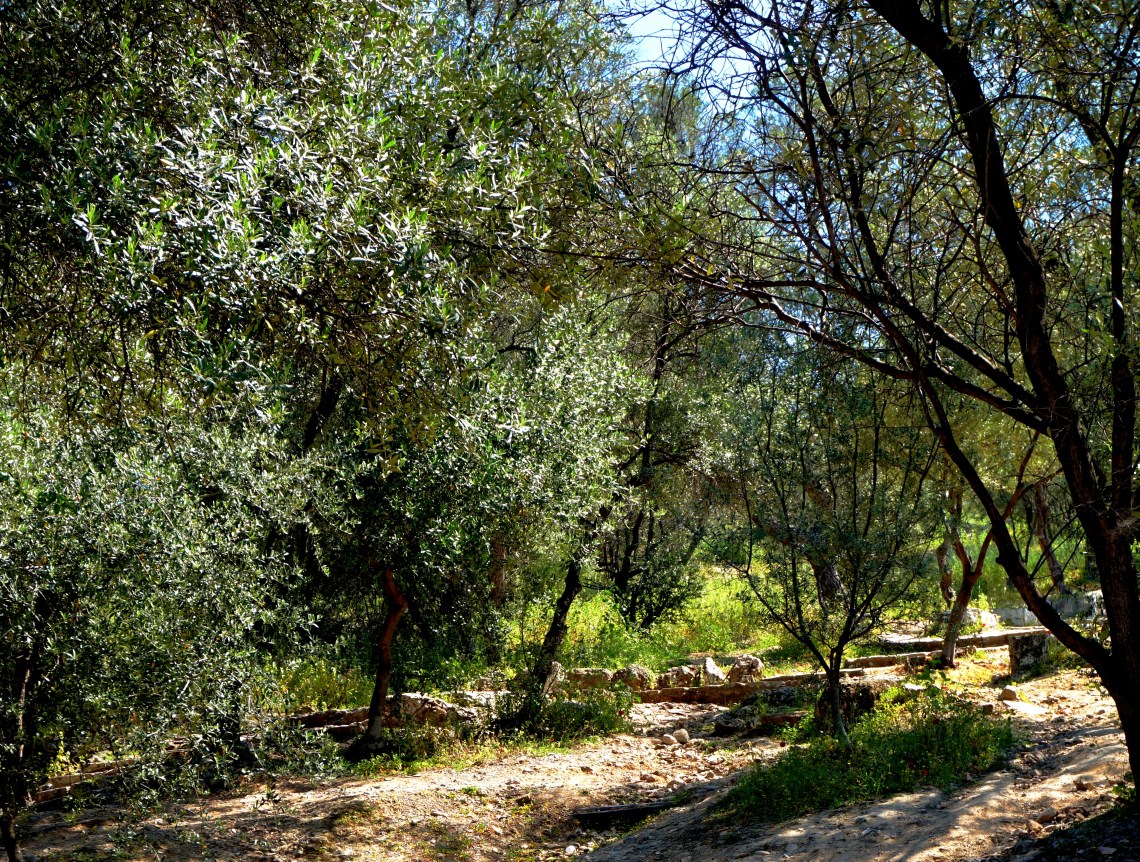 00-hillofthemuses-DSC00502_A4000