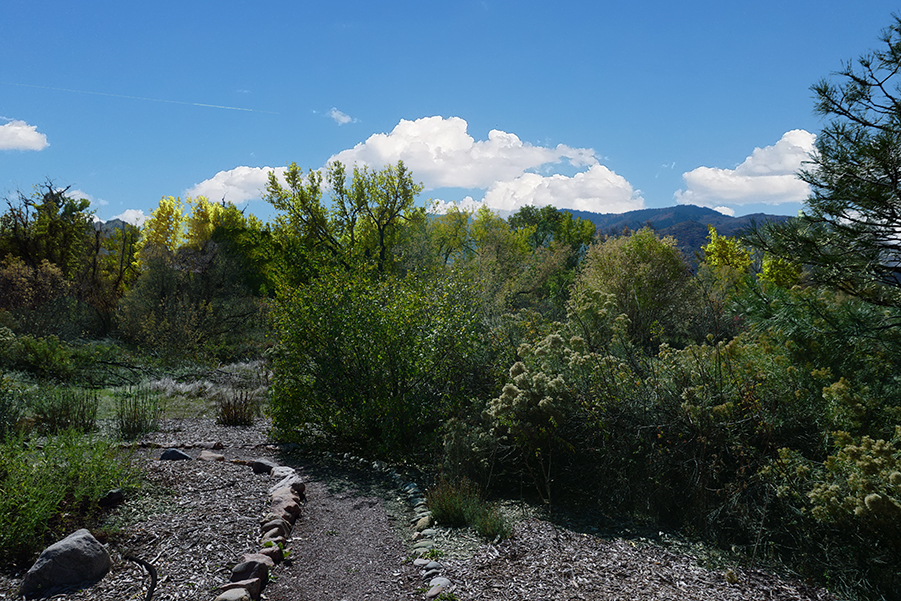 00-TrailinChatfieldDSC03403A900