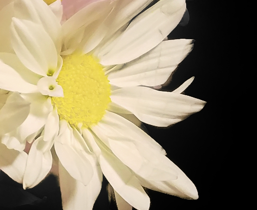 001-daisys-20180130_193300_B