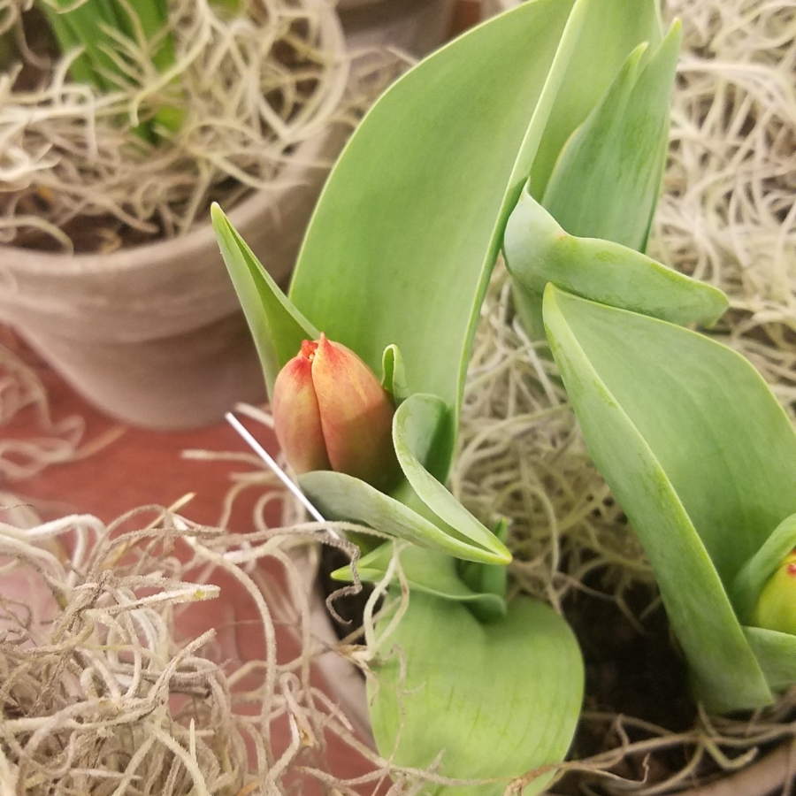 Color your World – Screamin&nbsp;Green