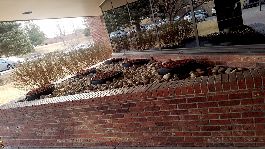 20180208_075650_26278719558_900A