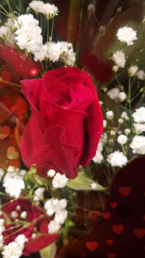 20180212_162912_39336470945_oheart900