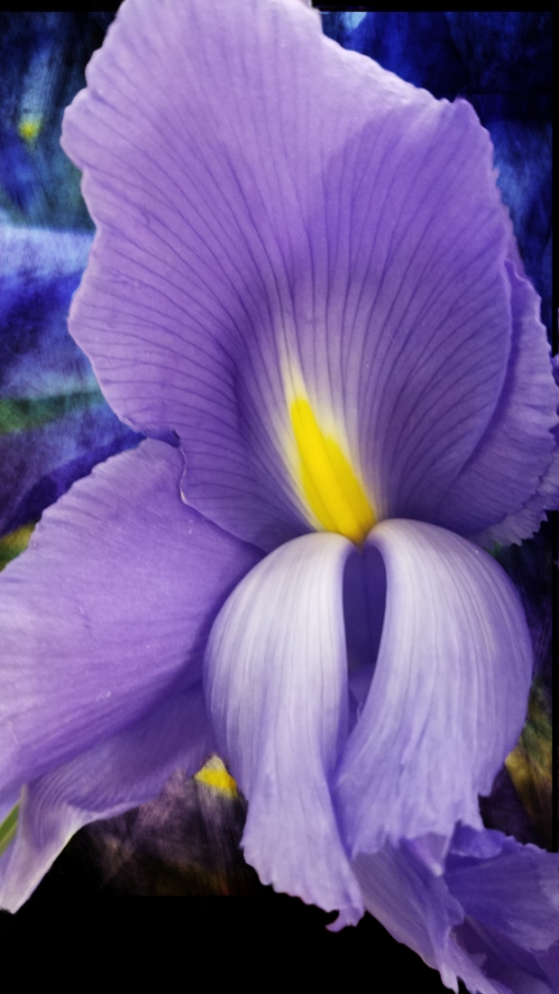 20180212_163139_40201221332_o_A900