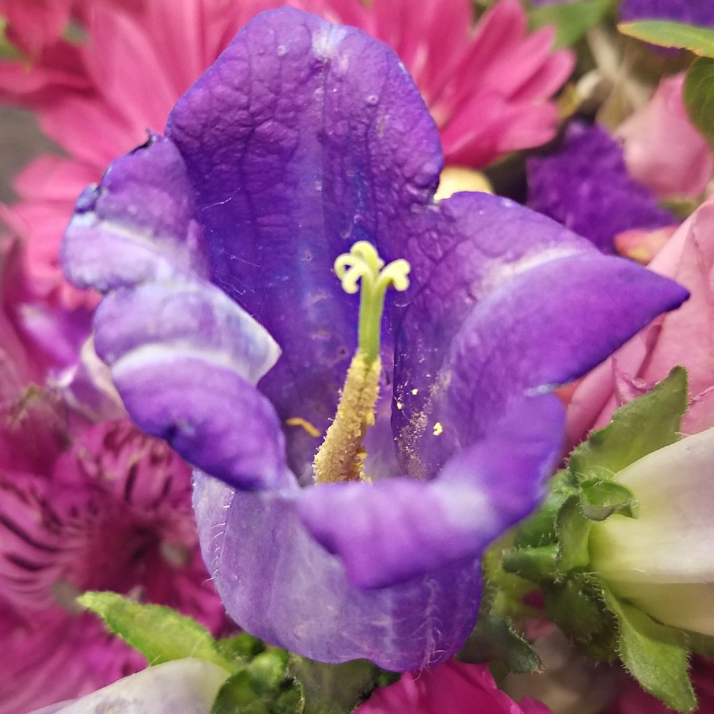 Color Your World – Purple&nbsp;Heart