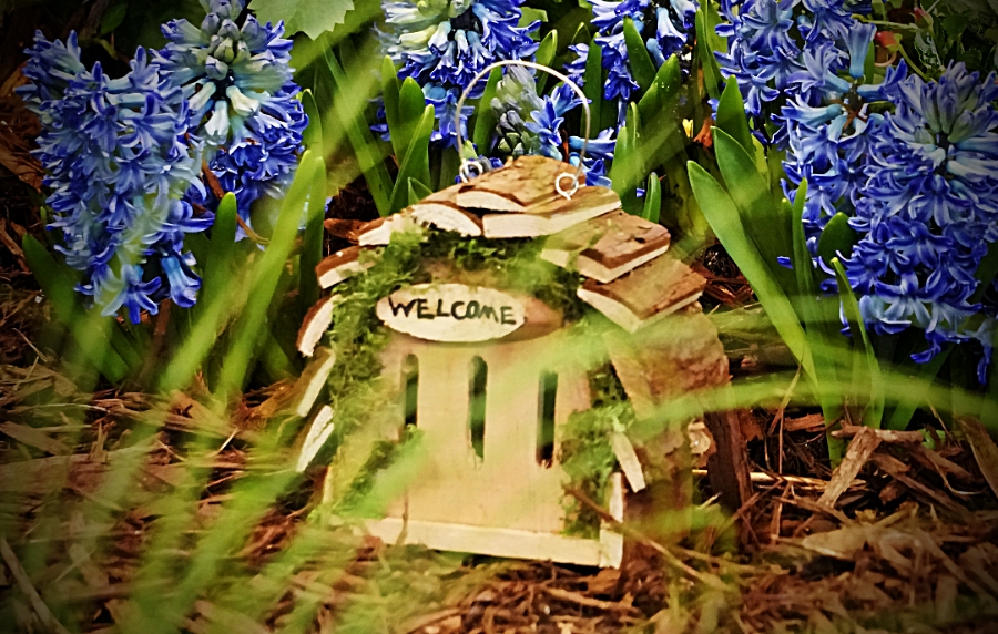 Butterflyhouse-DSC04542_900