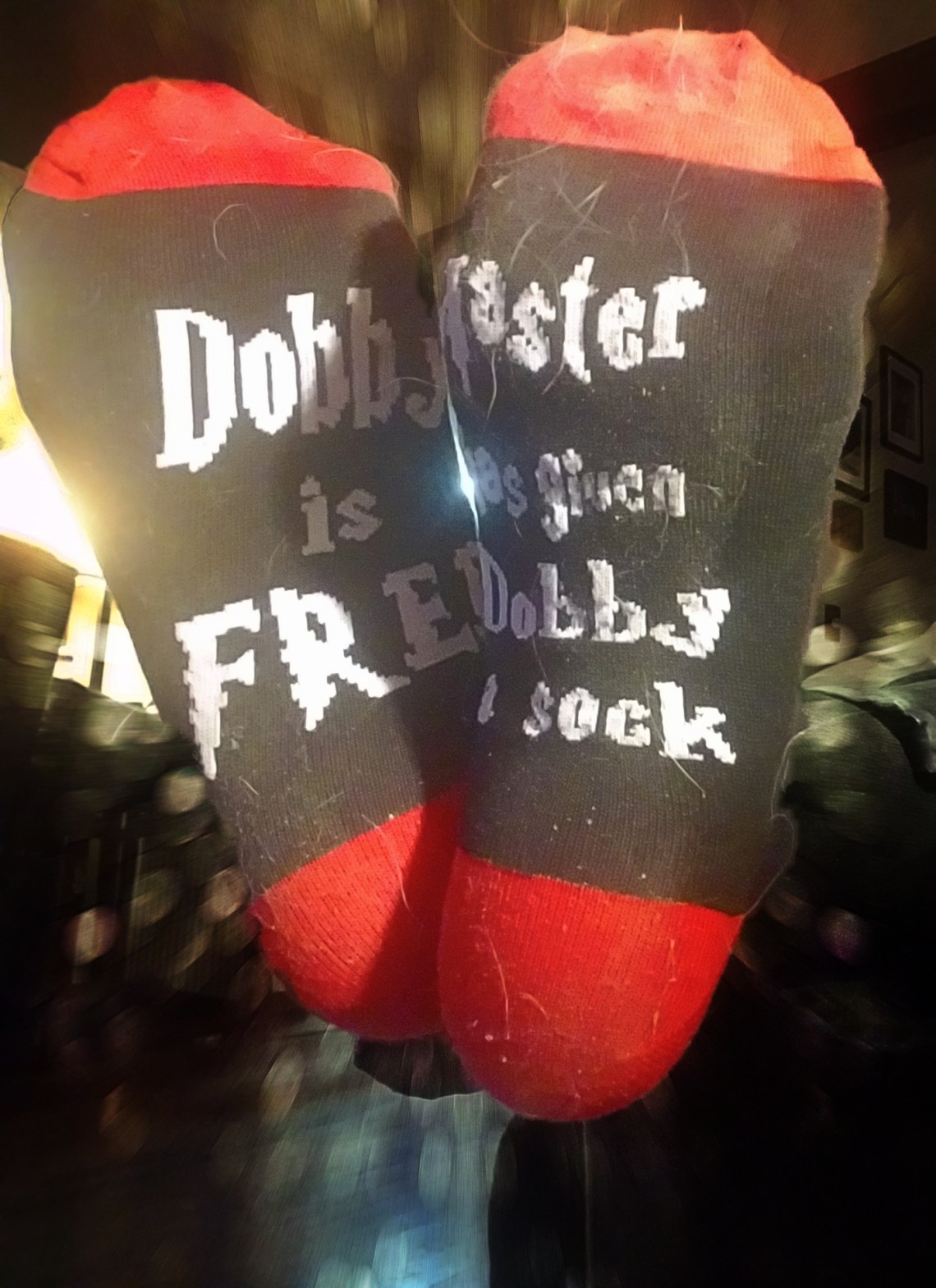 DobieSocks-selfie-20180209_172218_25304497487_A