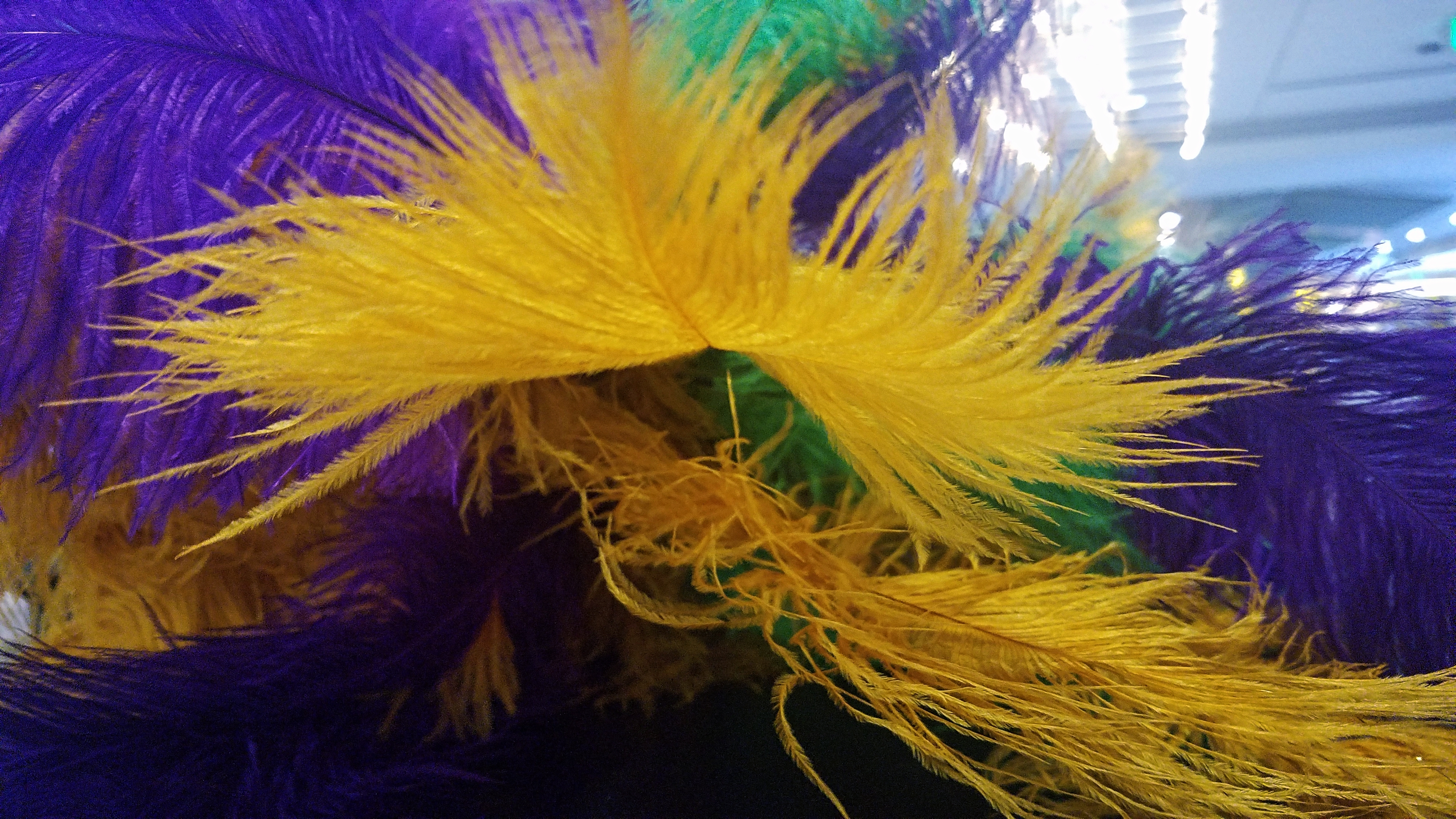 FatTuesday-20180213_132606_39538681174-4032A