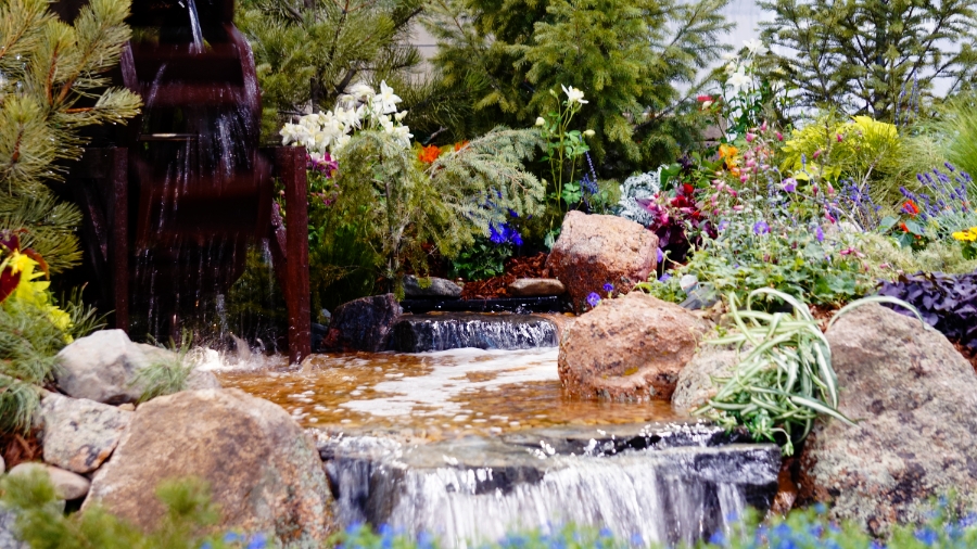 millpond-DSC04657_900