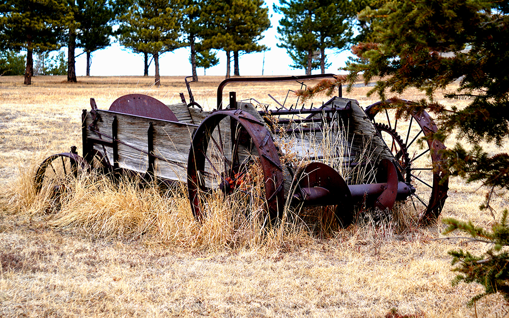 Neglectedwagon-DSC04500A1000