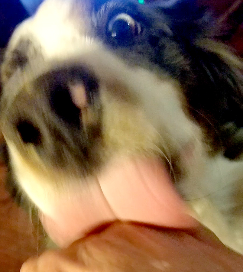 Color Your World – Piggy&nbsp;Pink