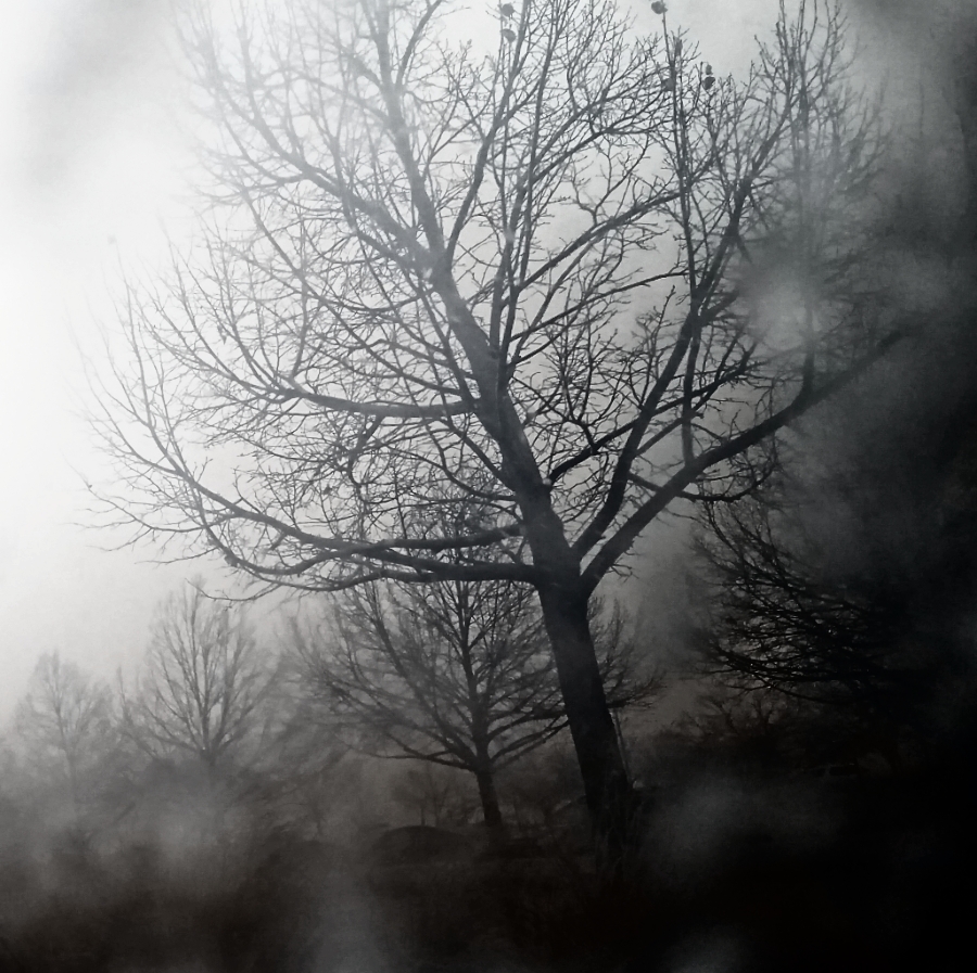 ThrutheStorm-20180215_161511_40290264861_A900_M