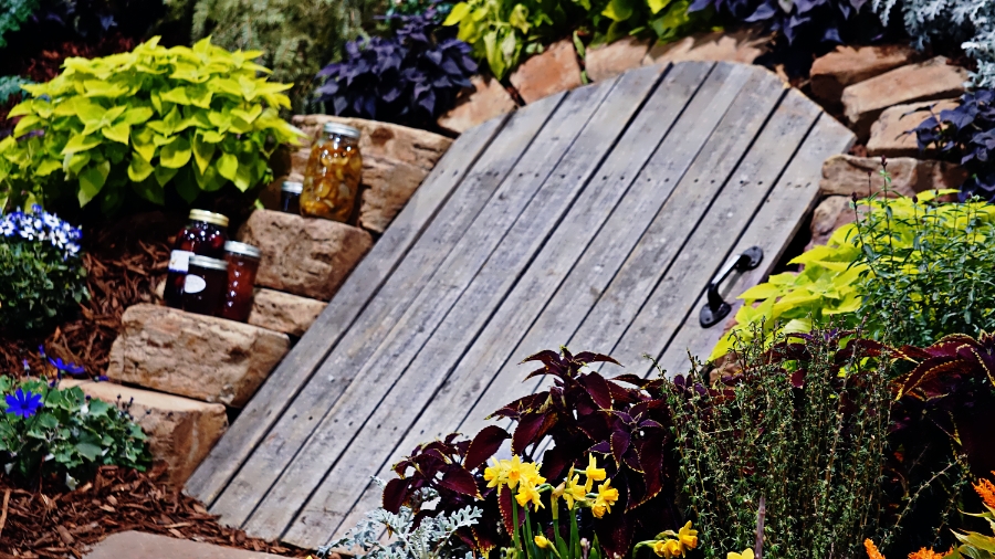 00-cellardoor-DSC04674_A900