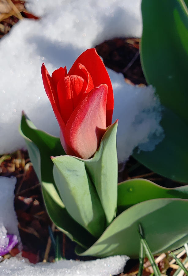 365 Photo – A Photo A&nbsp;Day