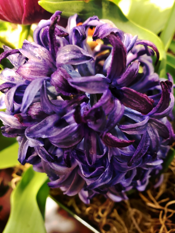 Color Your World – Vivid&nbsp;Violet