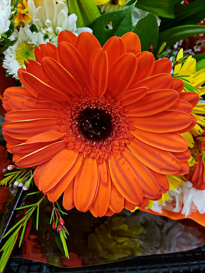 00-orange-28-20180316-900