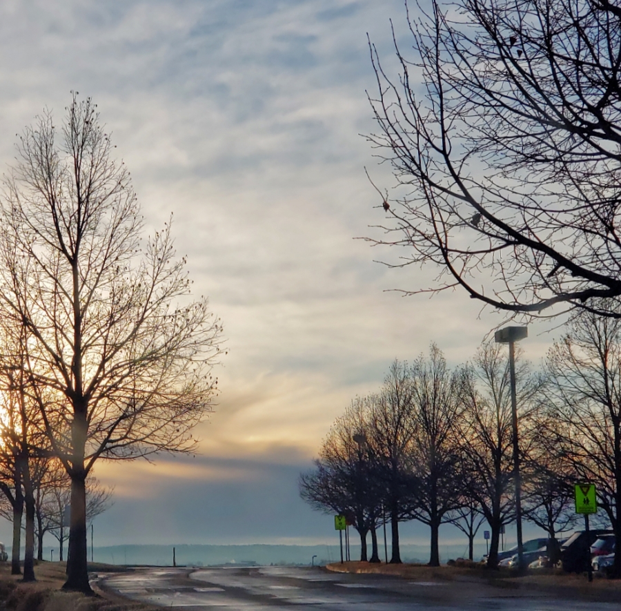 00-rainyspringmorning-20180316_084452_A900