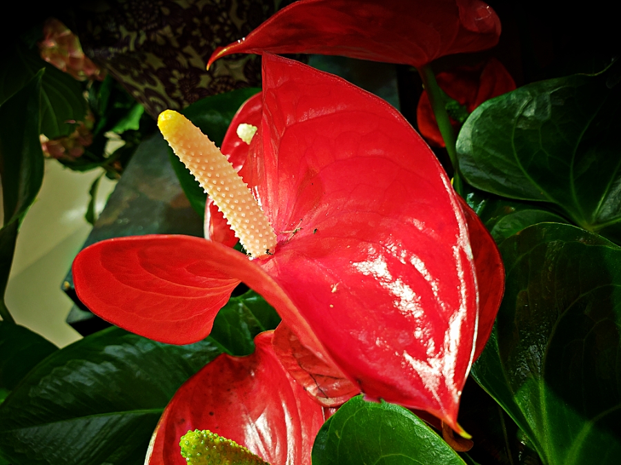 Color Your World –&nbsp;Red