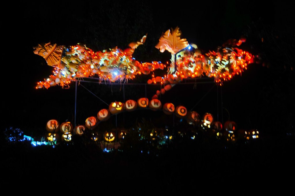 Color Your World – Burnt&nbsp;Orange