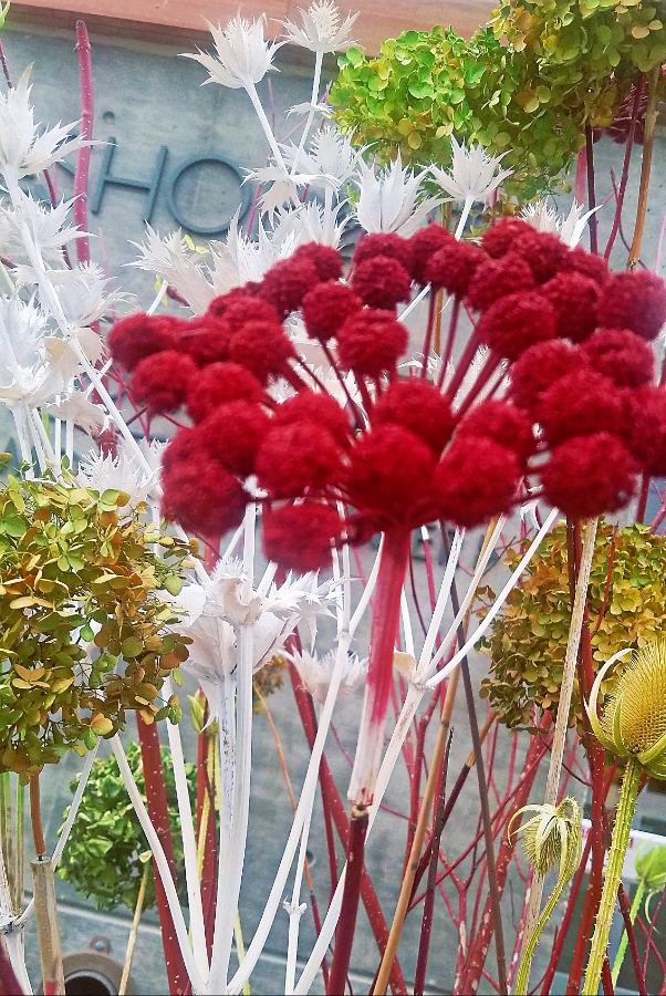 00-wintergarden-20180130_123838_A900