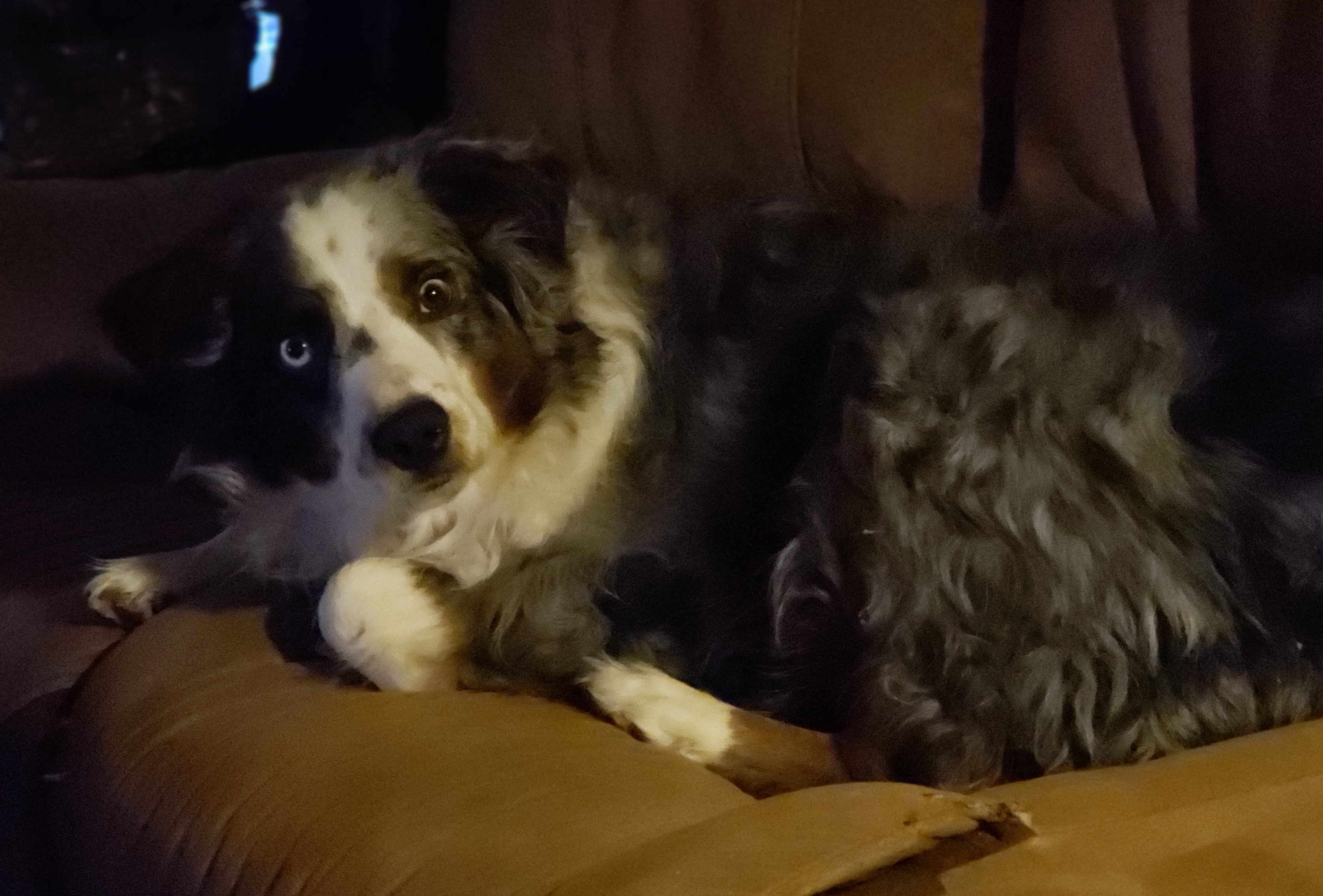 03182018-OberonSleepySunday