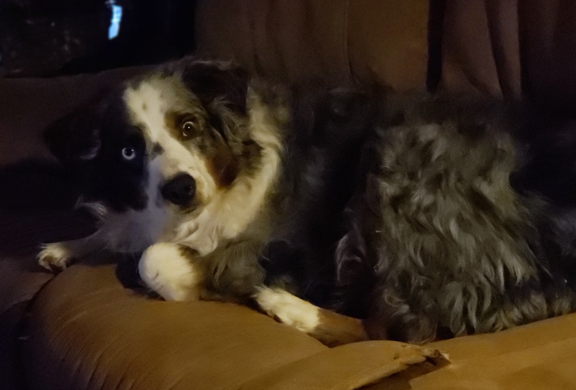 03182018-OberonSleepySunday