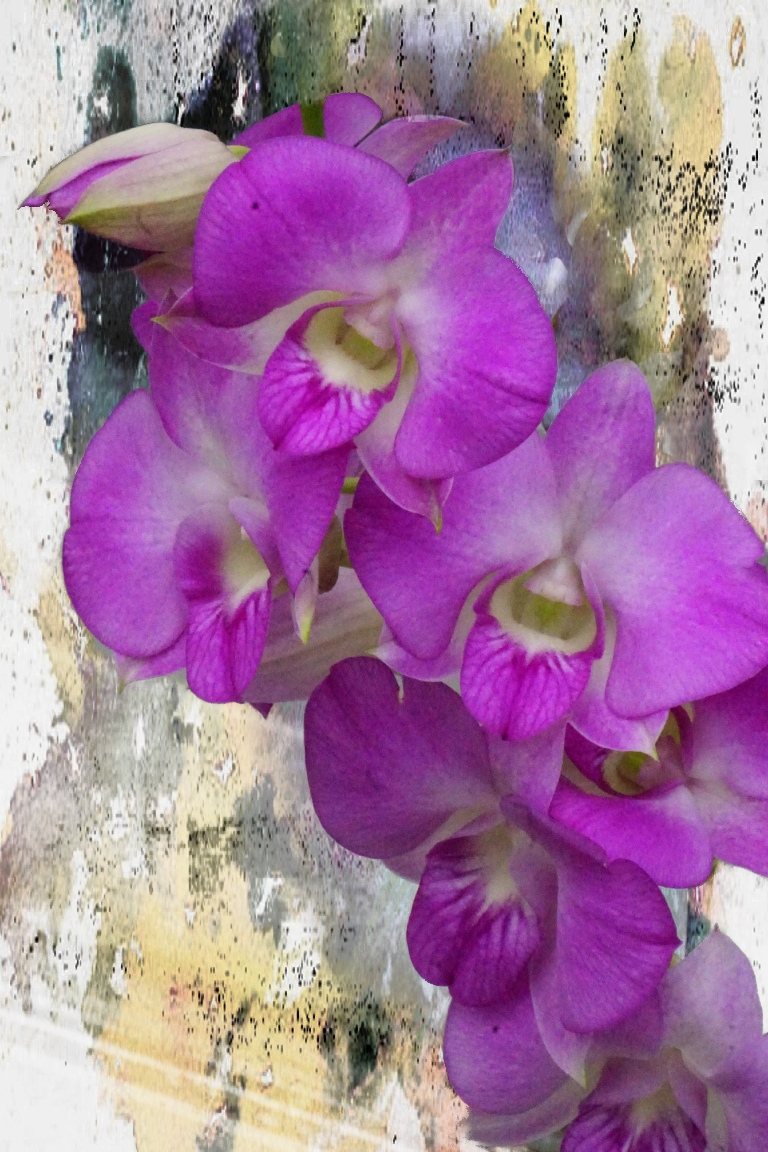 Color Your World –&nbsp;Fuschia