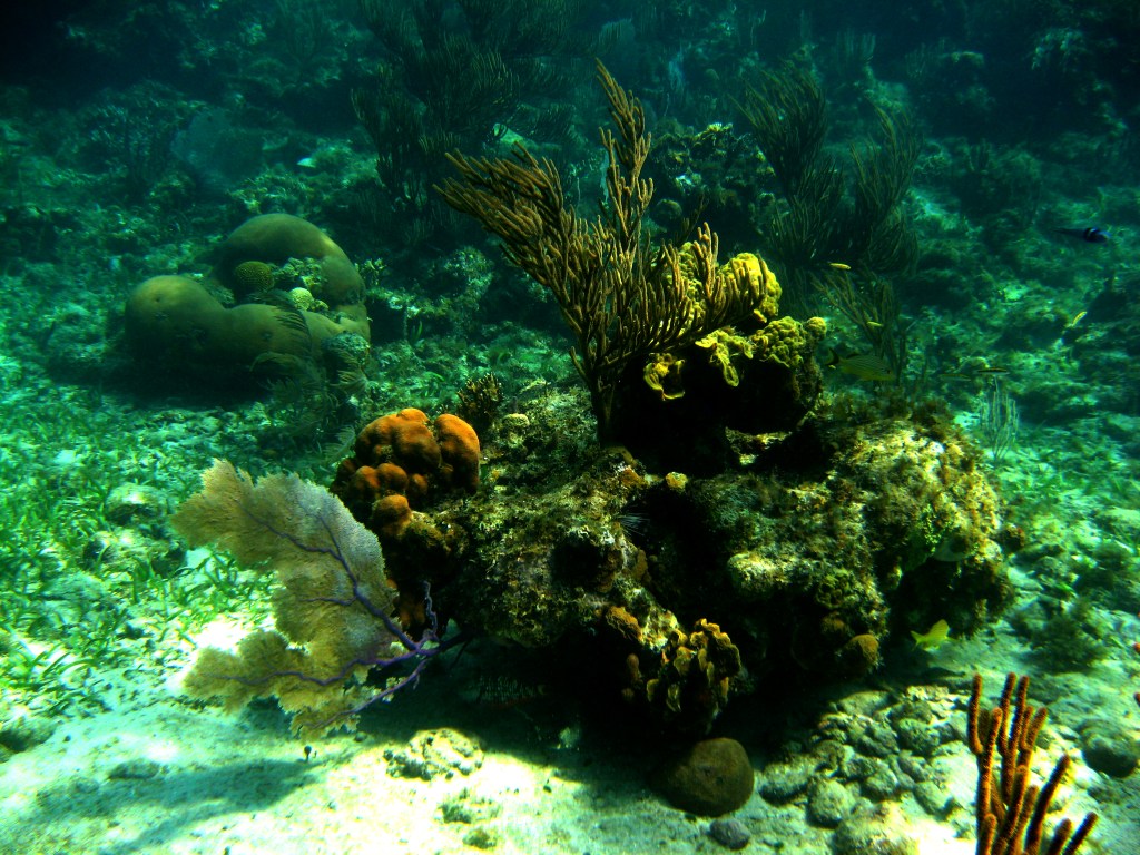 April 1. Color Your World – Caribbean&nbsp;Green