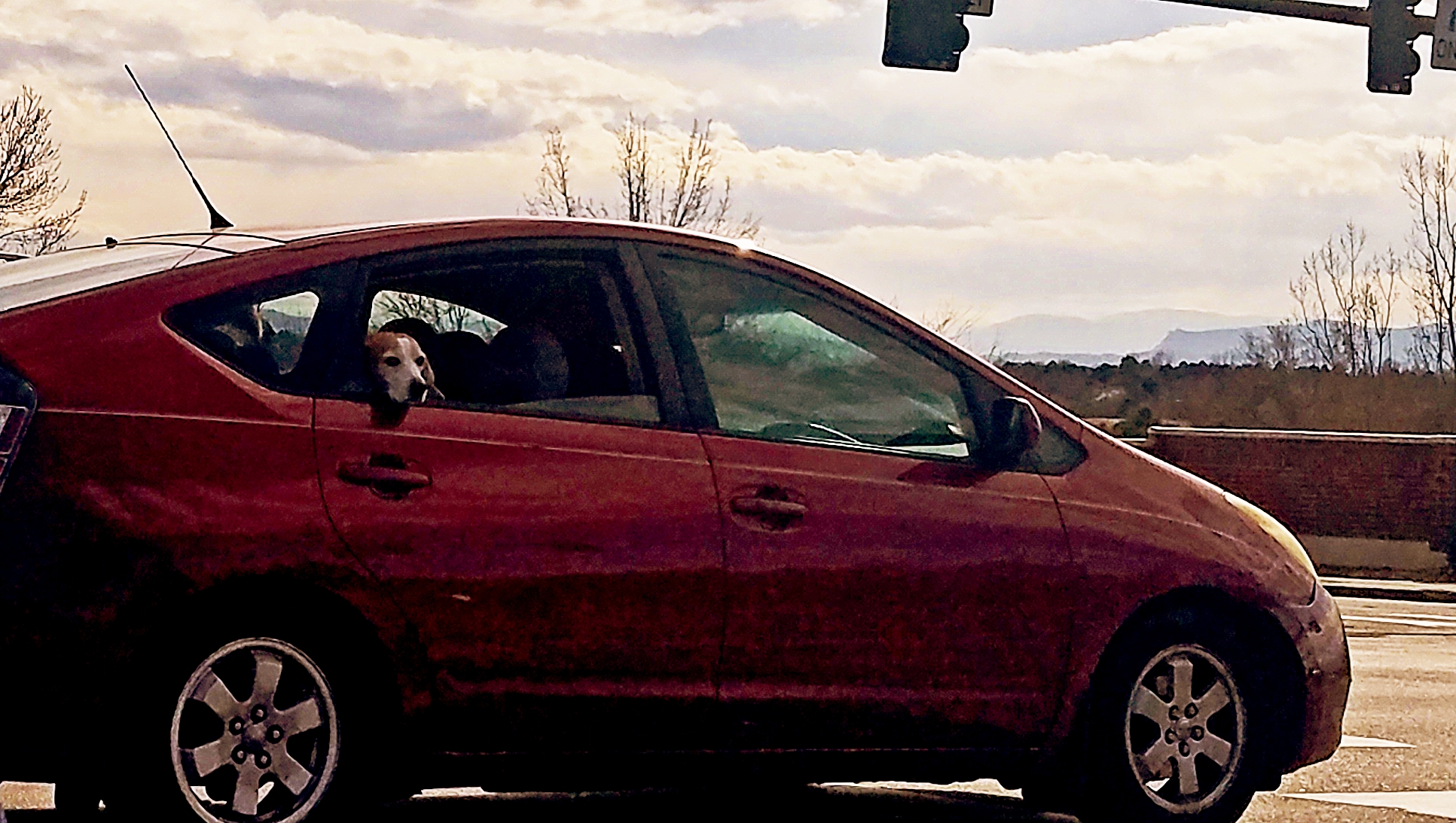 its-spring-20180312_160953_A