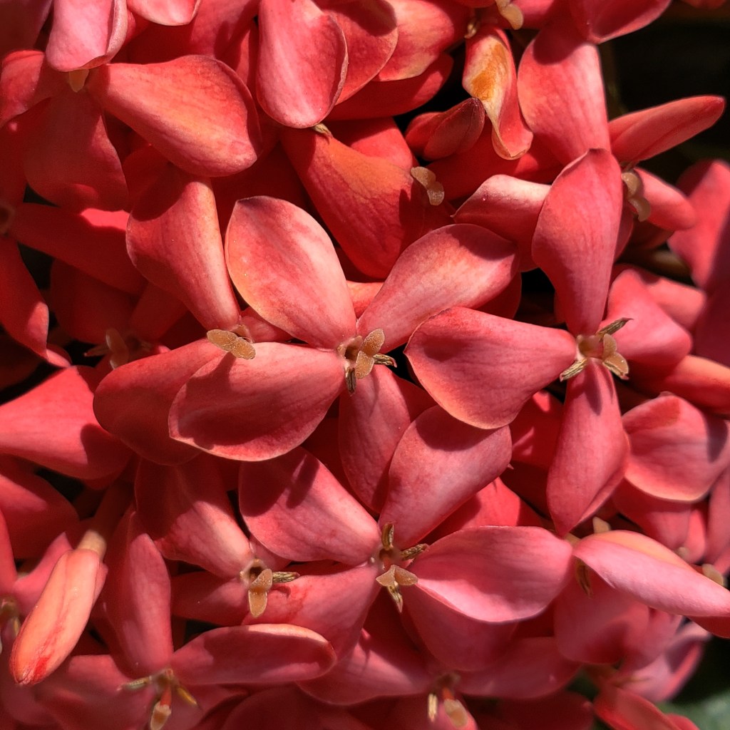 Color Your World – Brick&nbsp;Red