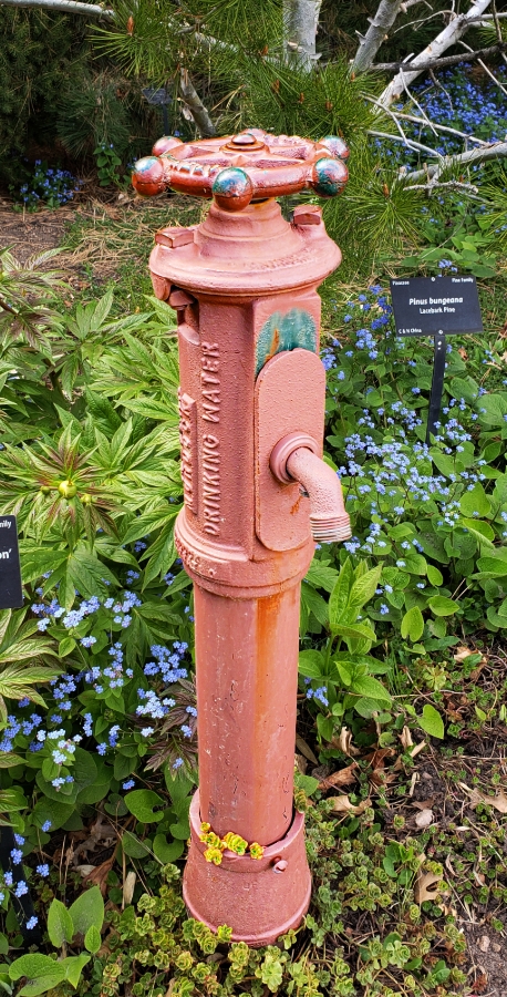 00-DBG-faucet-20180428_145415_A900