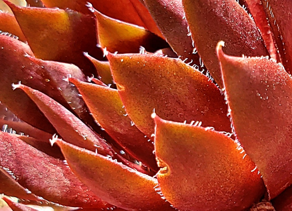 365 Project A Photo a&nbsp;Day