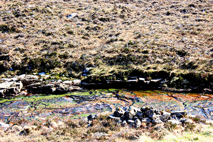 00-highlands-rivulet-20090403_50_A900