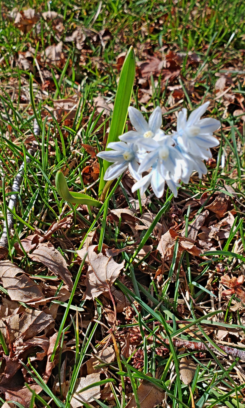 365 Project A Photo a&nbsp;Day