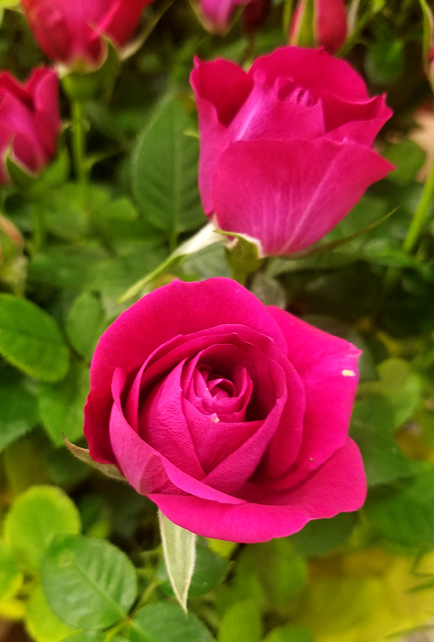 00-razzmatazz-20180127_142942A900