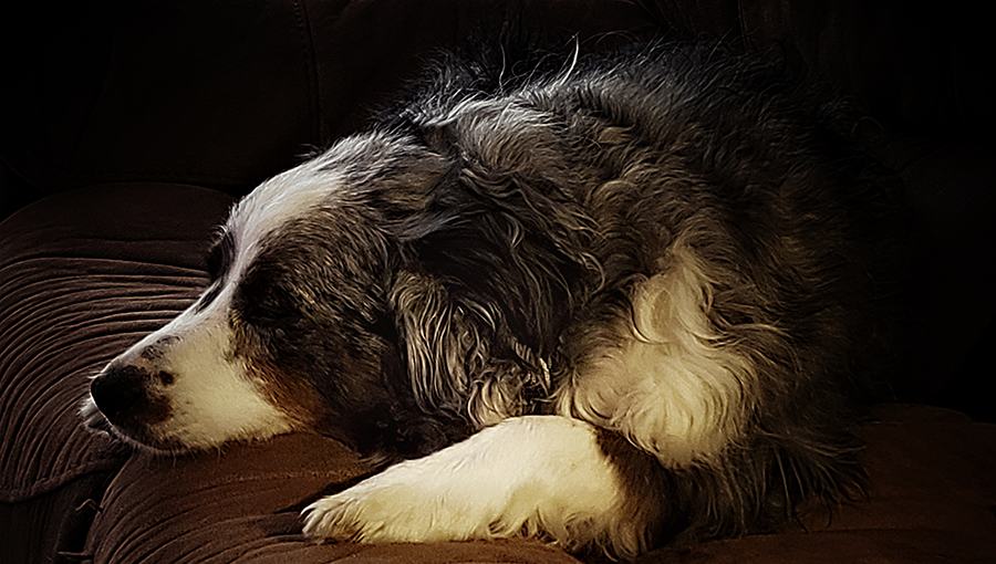 00-sleepingbeauty-20180417_163018_B900