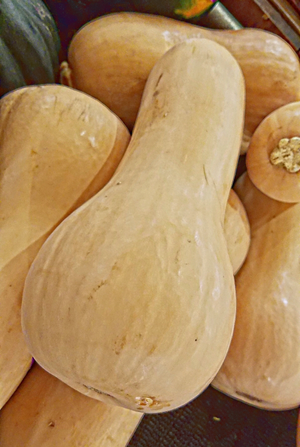 00-tan-squash-20170109_163449_p900