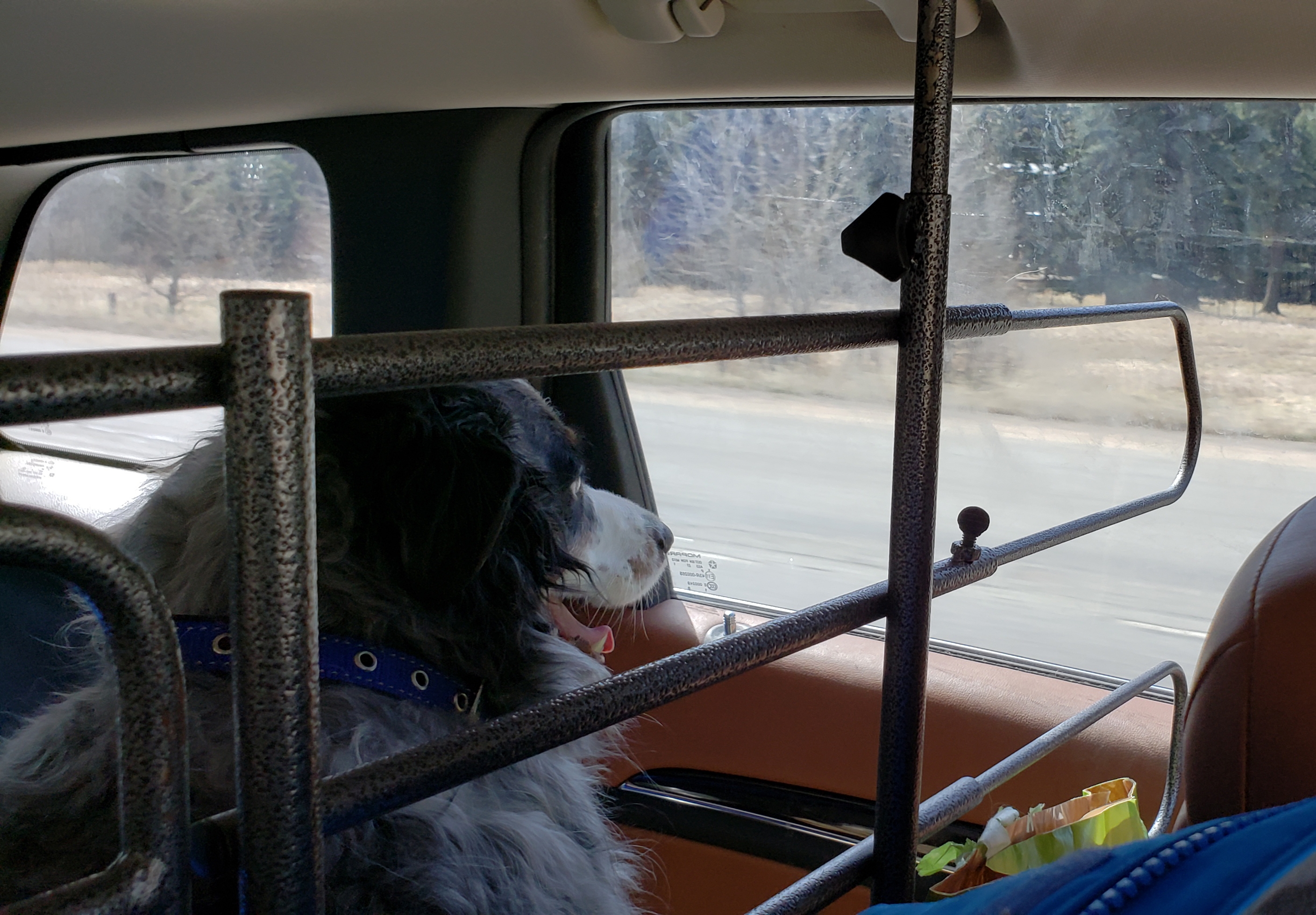 20180410_103858_39611194400_o