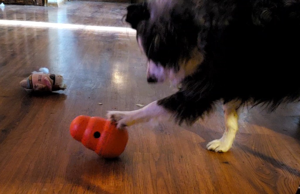 Share Your World – April 23,&nbsp;2018